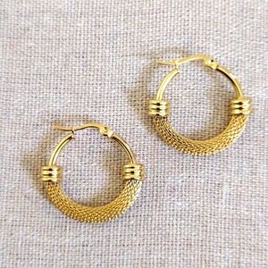 18 kt Gold over Titanium earrings